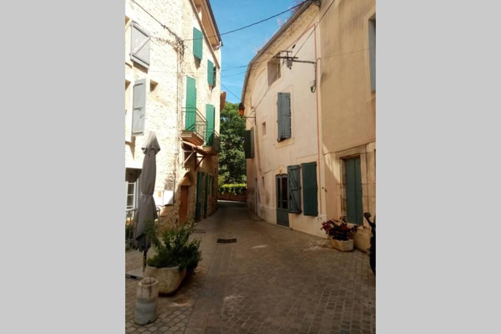 Character Filled House Overlooking The River Cesse Bize-Minervois Ngoại thất bức ảnh